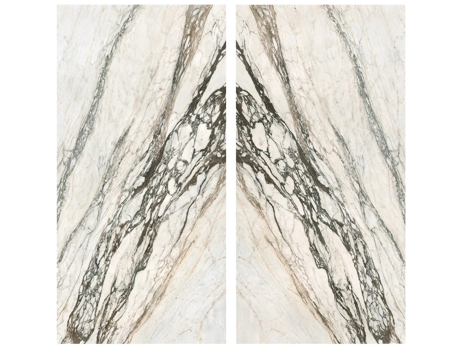 Calacatta Picasso Mat Parlak