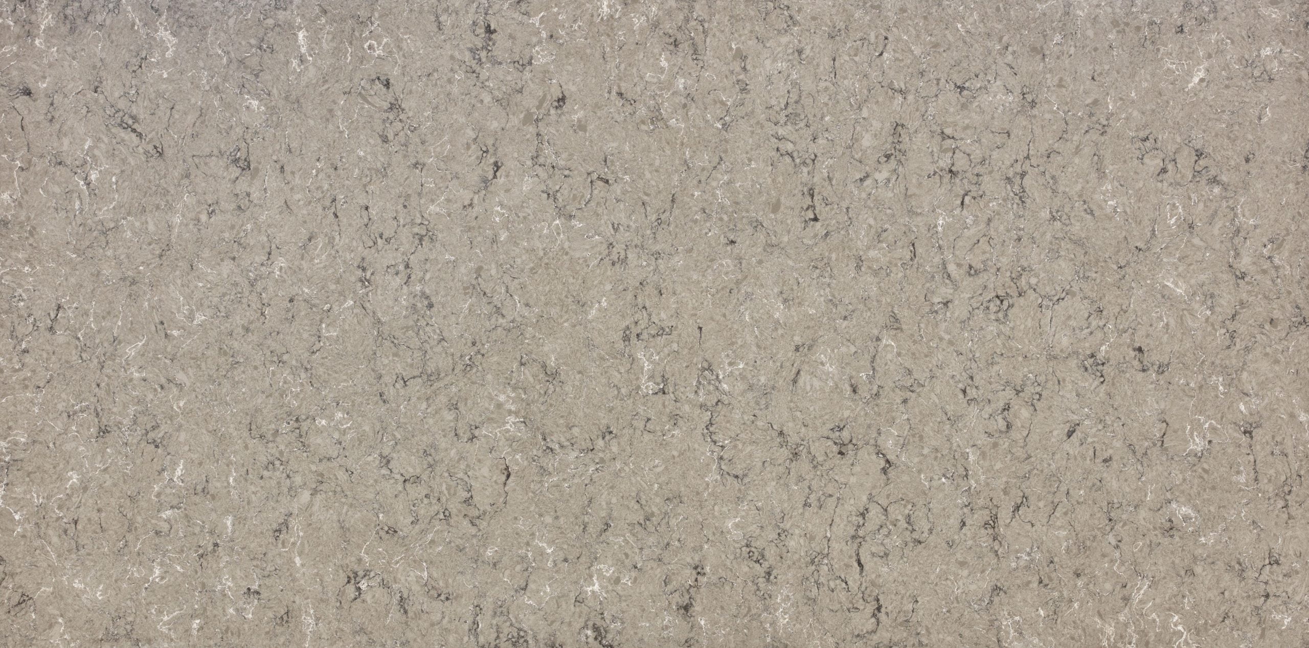 Terre Grey