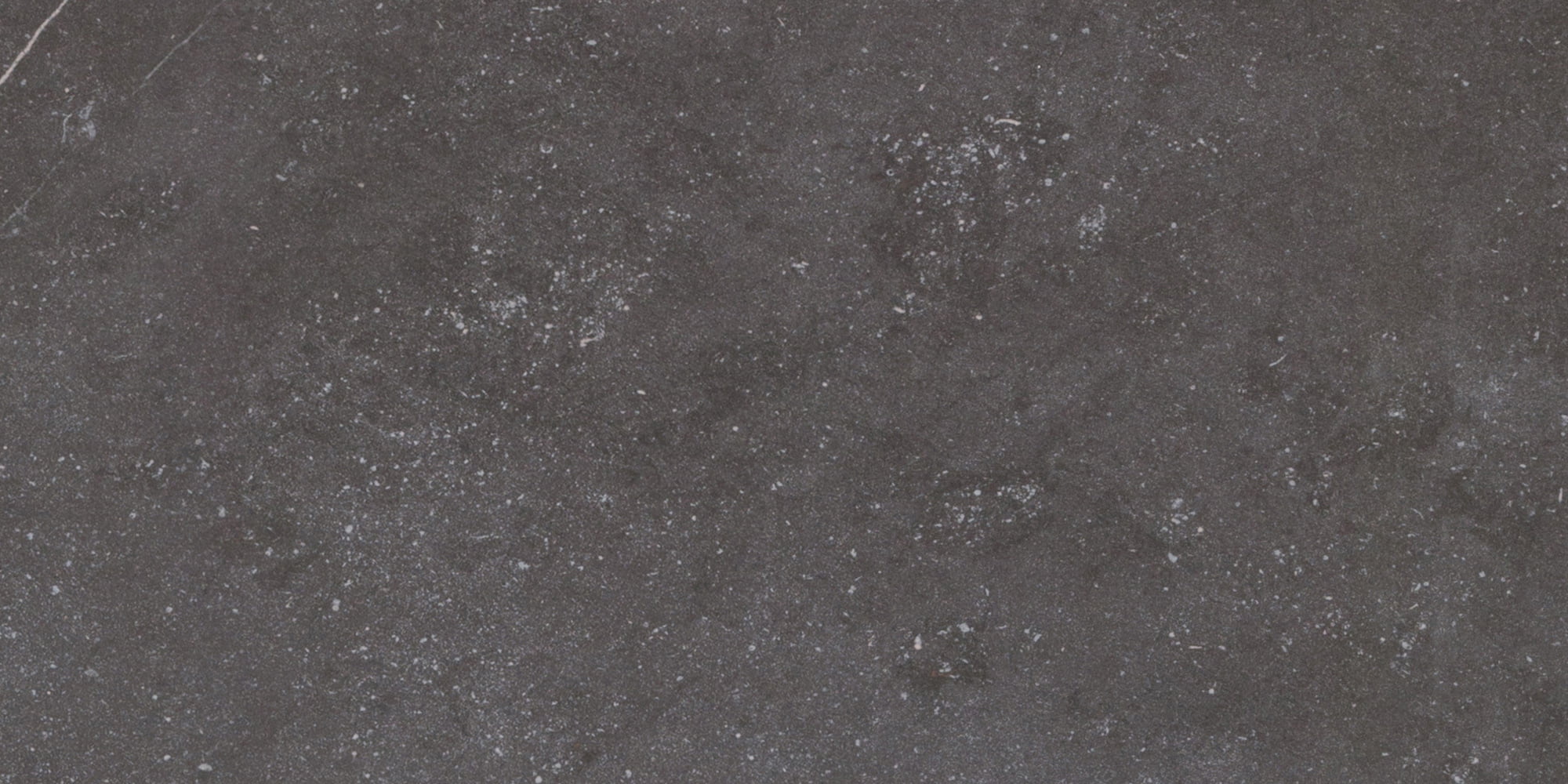 Fossil Mat