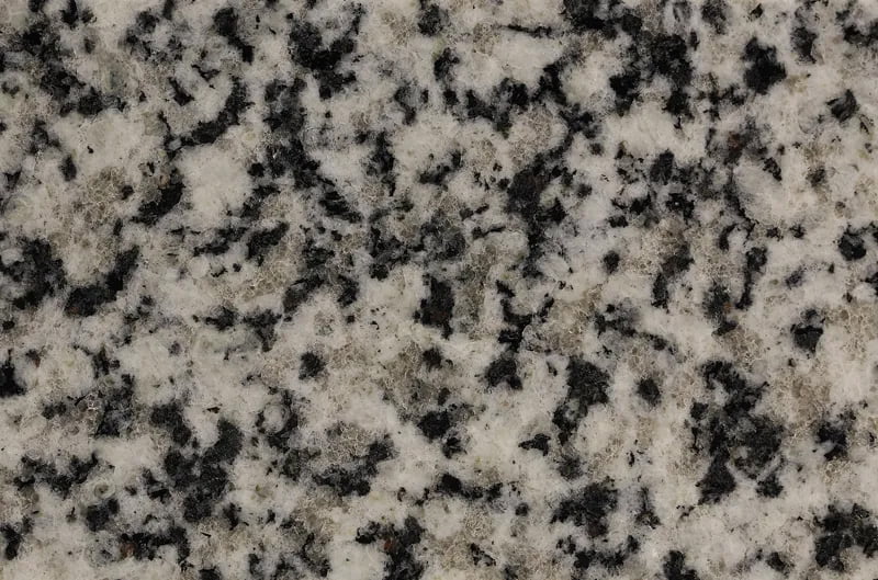 Bianco Dalmata