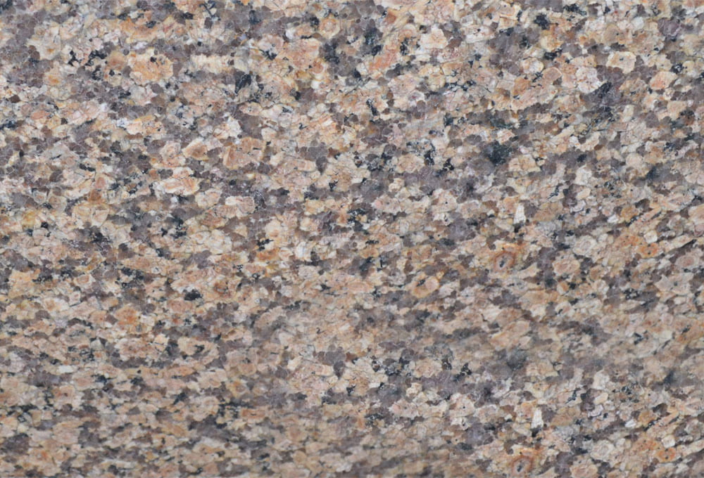 Bianco Regina