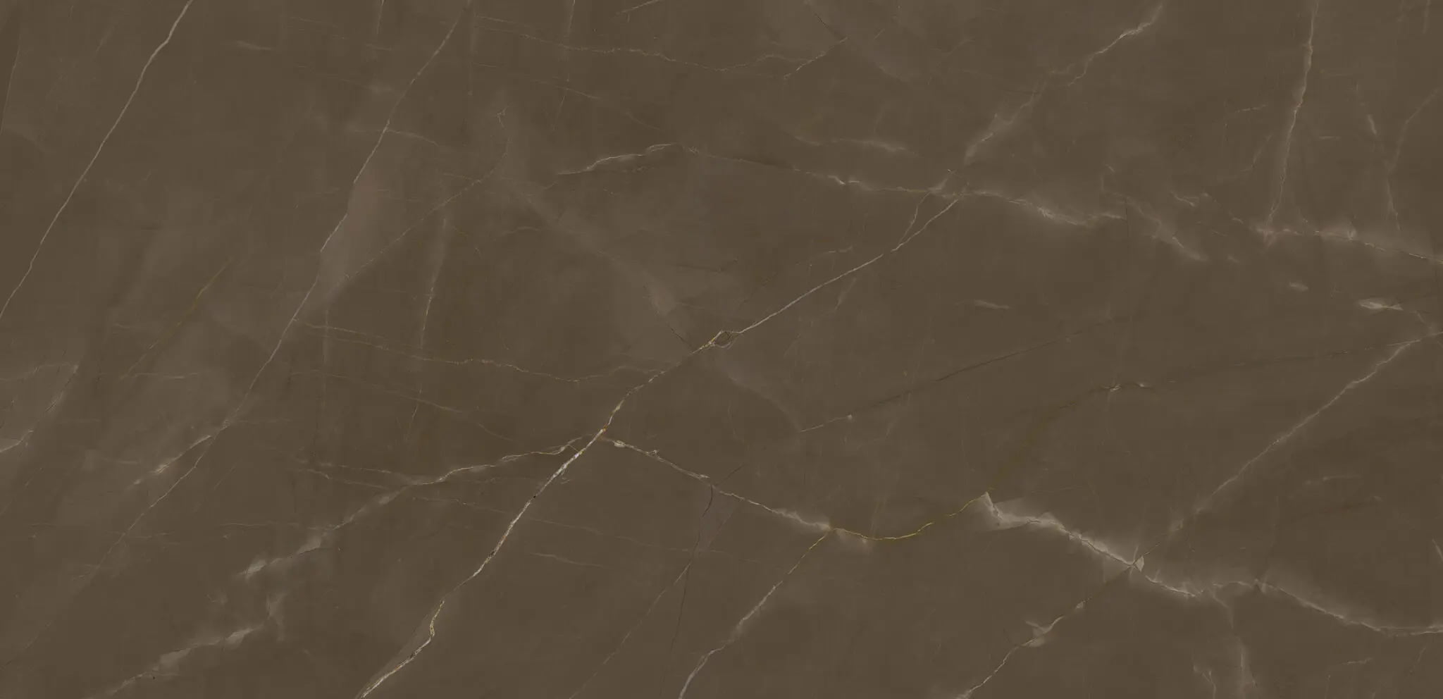 Pulpis Silk