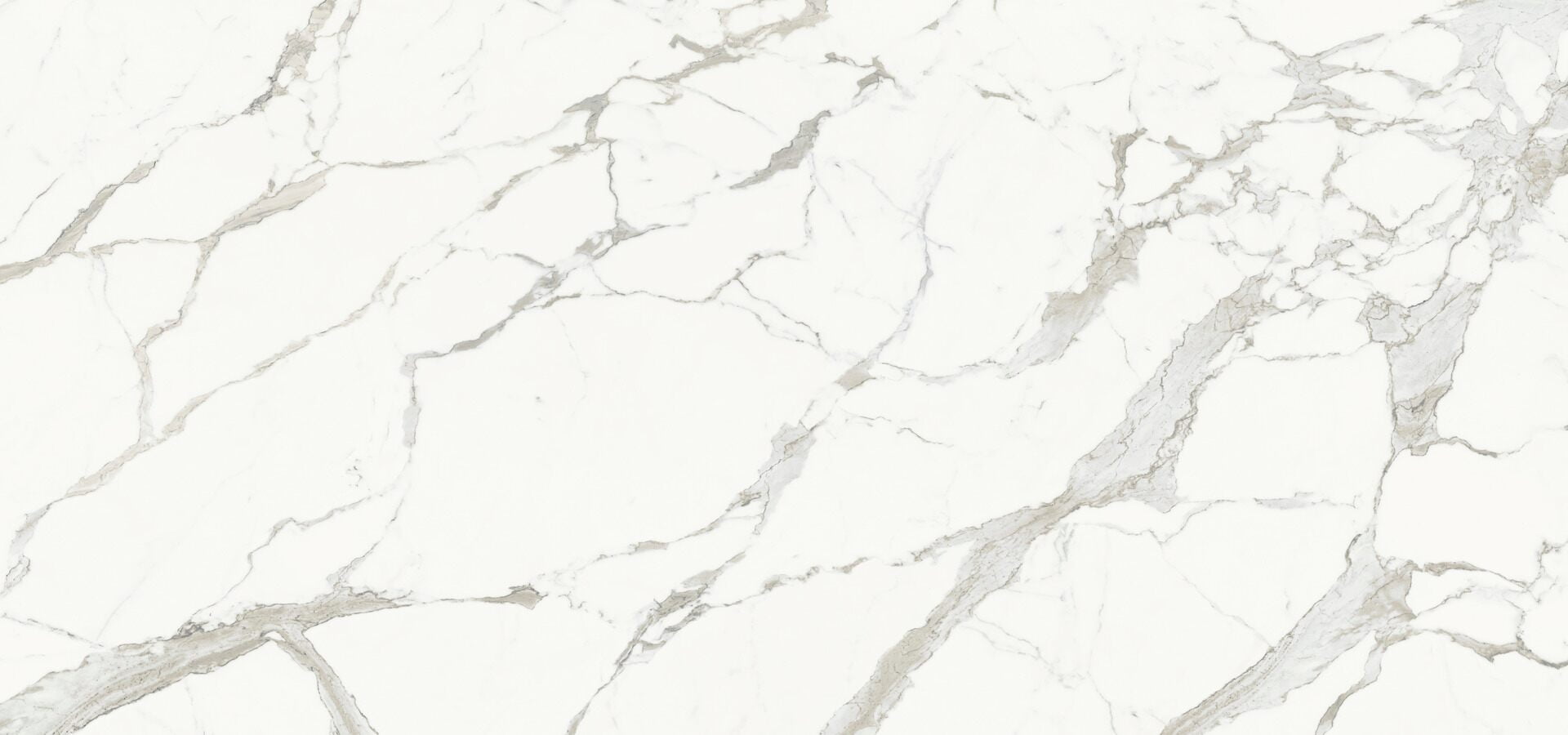Light Calacatta Polished