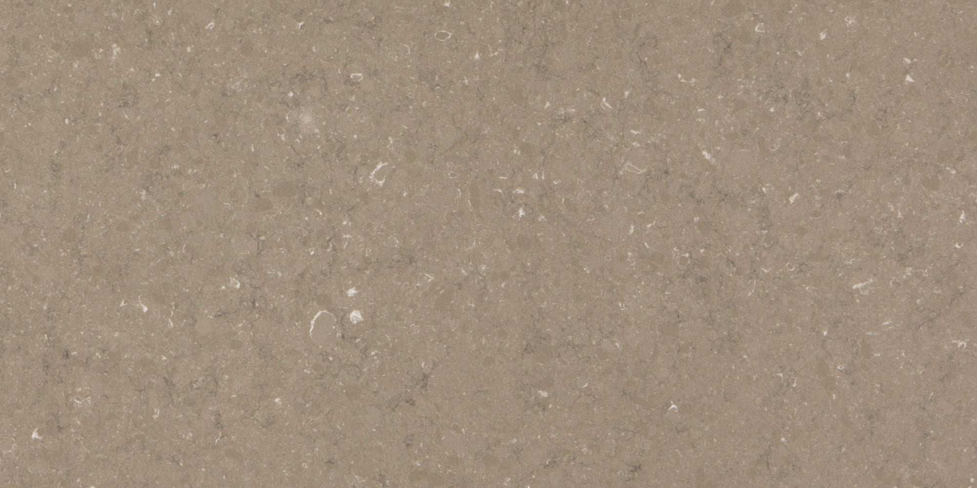 Coral Clay Color